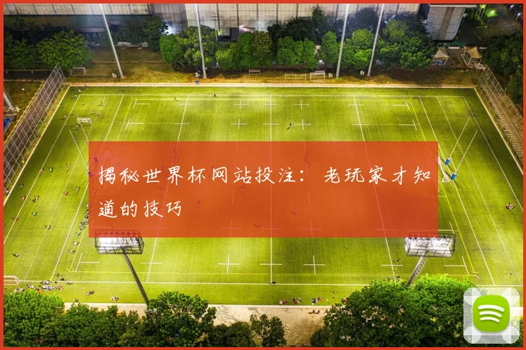 揭秘世界杯网站投注：老玩家才知道的技巧